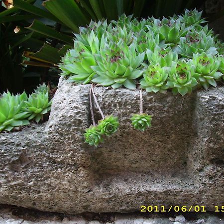 Guest House Villa Katty Balchik Exterior photo